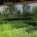 Kräutergarten Kräutergarten